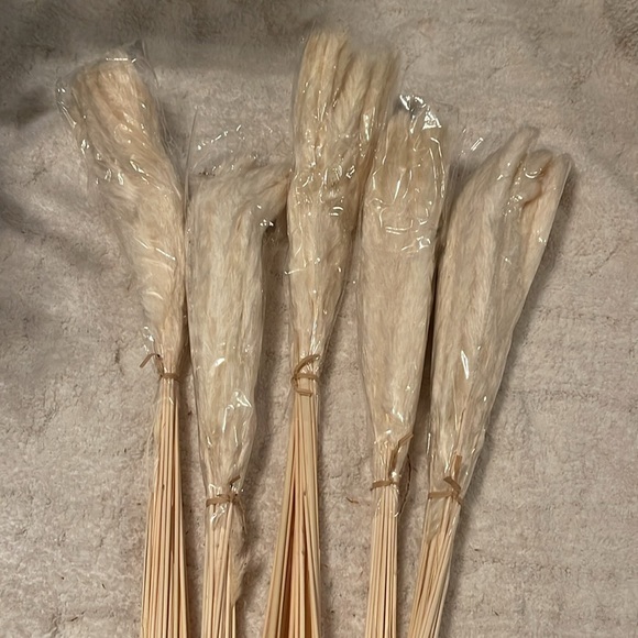 New pampas grass - Picture 2 of 2